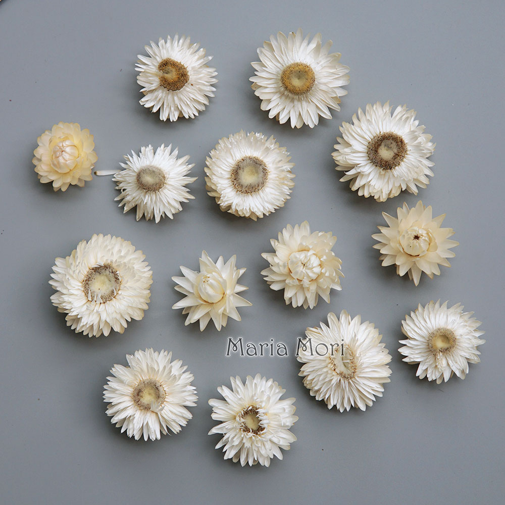 Baby Products List - 天然のドライでカラフルな菊の花輪,手作りのヘアアクセサリー,樹脂製品,アロマテラピーキャンドル